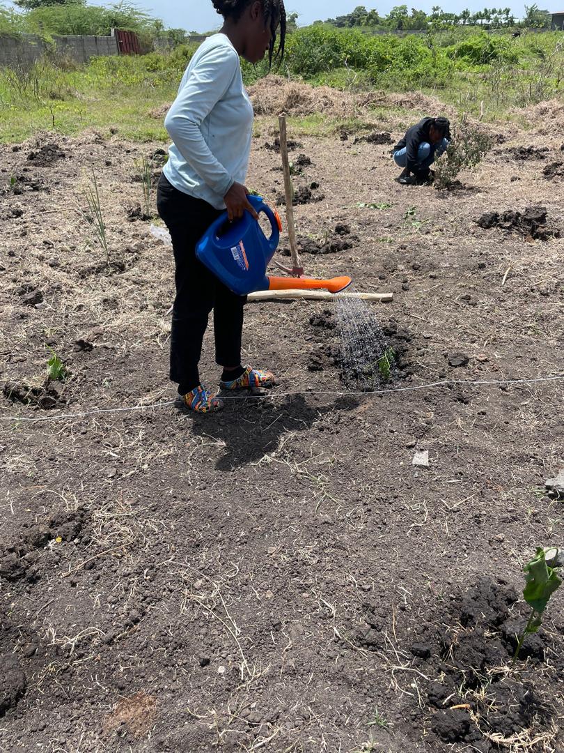 A woman watering a SAKALA field