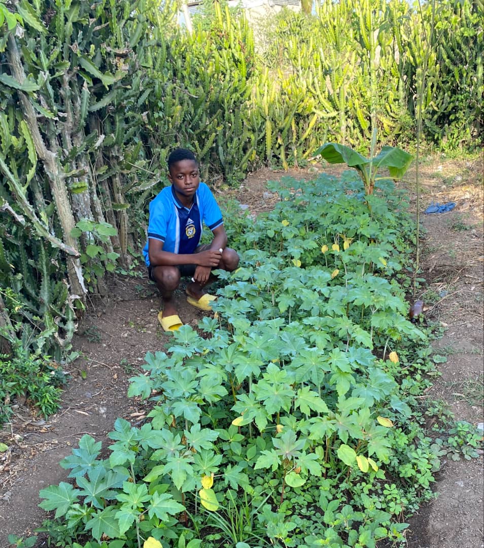 A young SAKALA grower in the garden