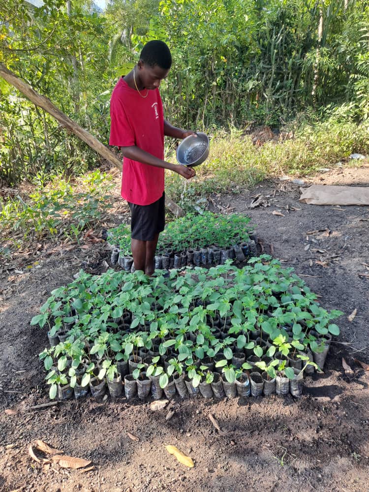 A young grower watering seedlings at a SAKALA nursery