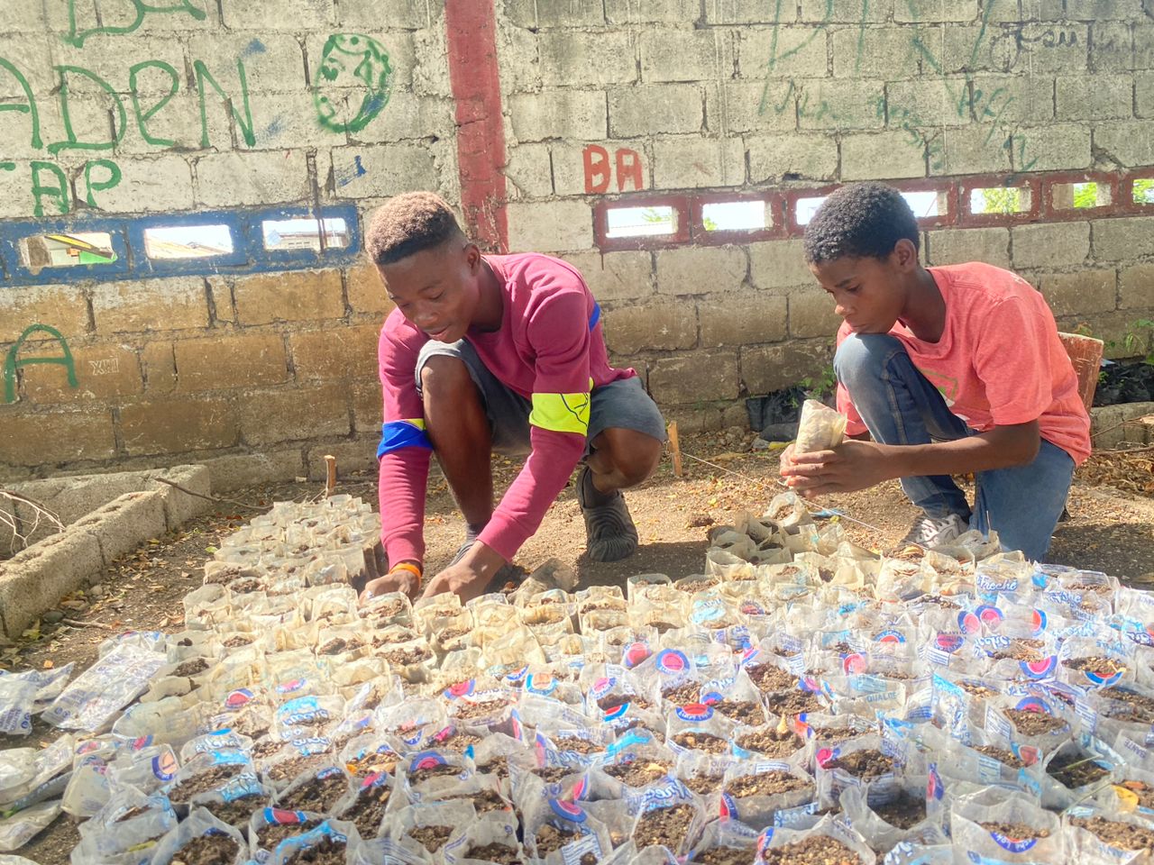 SAKALA youth working a plantation